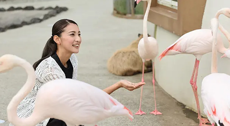 ふれあい動物王国 動物1